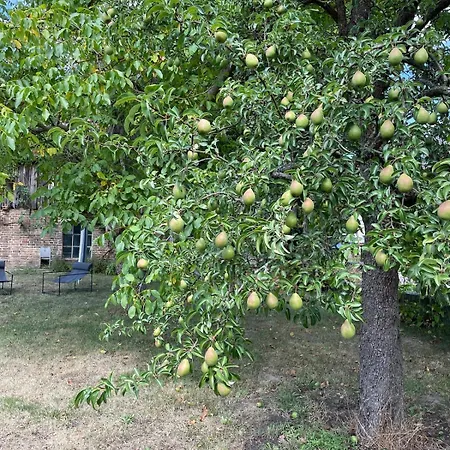 Fuer 8 Gaeste Mit 1000 Qm Garten, 1 Stunde Von Berlin * Нойруппин